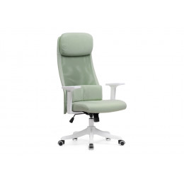 Компьютерное кресло Salta light green / white